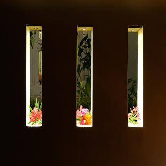 Luxury Of Peaceful Stay, Udaipur 3